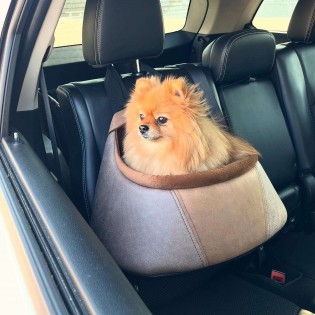 CARAMEL